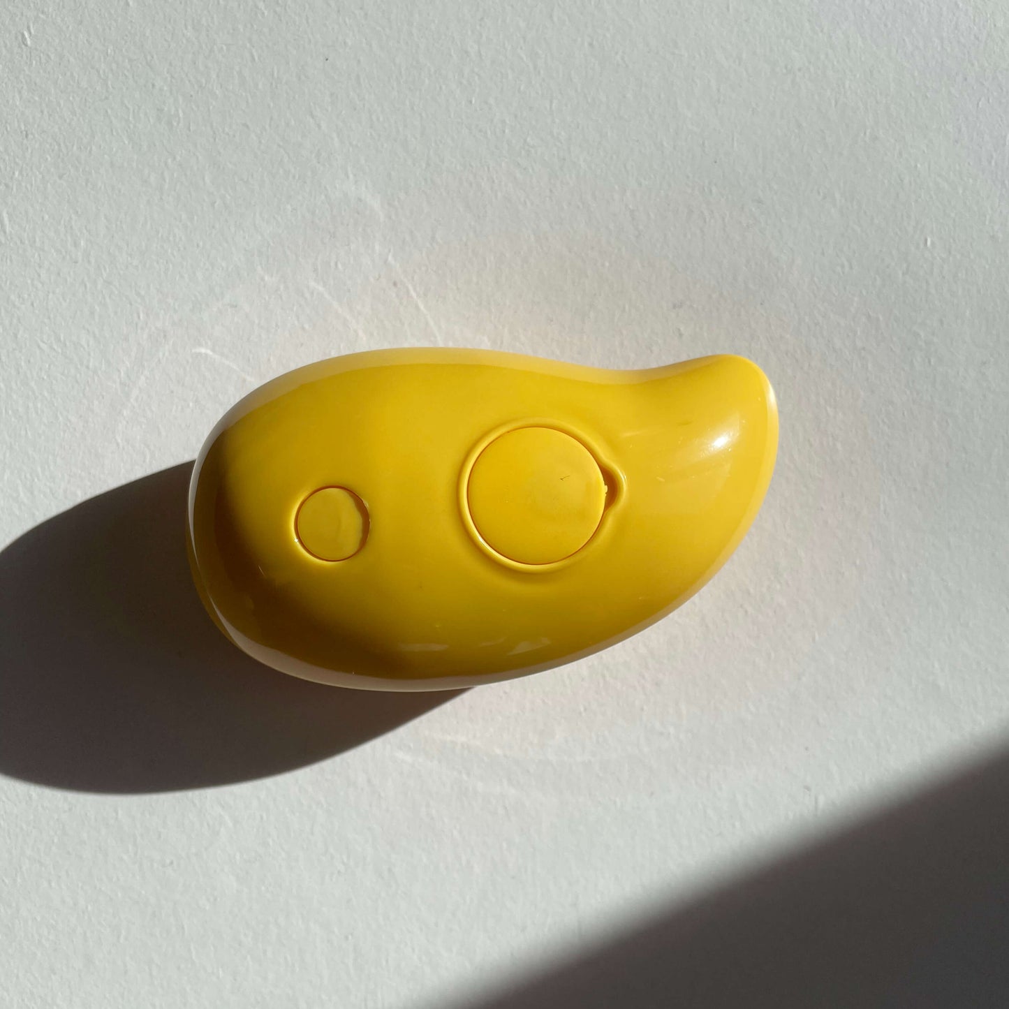 Cepillo vaporizador mascotas